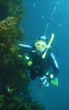 diver